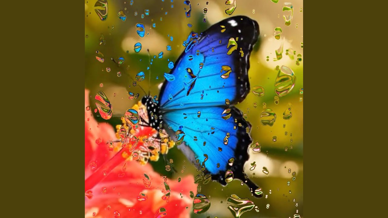 Mariposa Silvestre