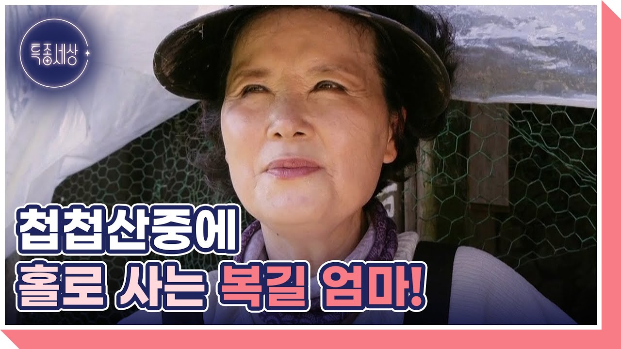 국민 며느리 ＜전원일기＞ 복길 엄마 김혜정, 자연인으로 사는 근황 MBN 241010 방송