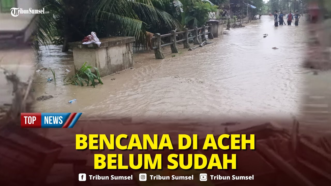 🔴Warga Ketakutan Banjir Terjang Wilayah Pidie Jaya Aceh, Ketinggian Air 2 Meter Rendam 20 Kampung