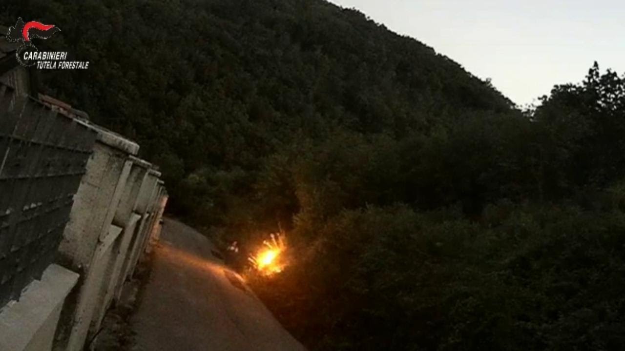 Avellino, il piromane dà fuoco al bosco di un'area protetta: le telecamere lo incastrano