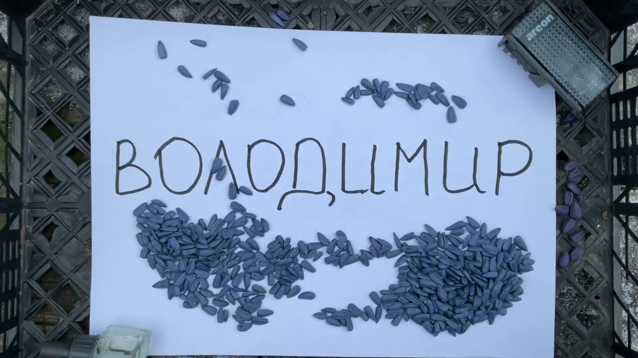 Насіння для Степу