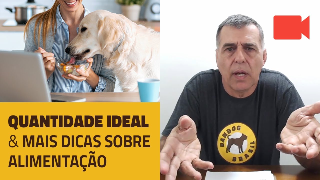 Quantidade ideal, e mais dicas sobre alimentação de cães.