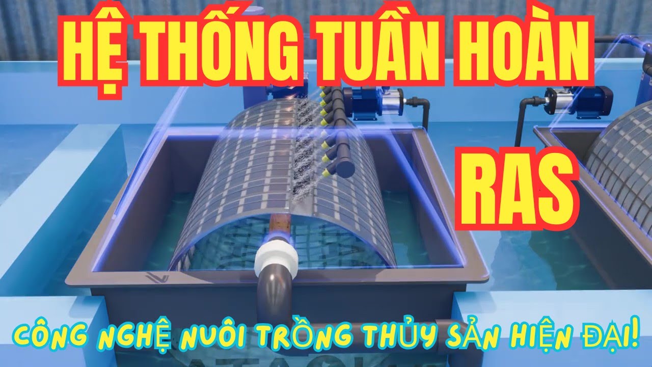 Bí Mật Hệ Thống RAS | Cách Nuôi Trồng Thủy Sản Hiện Đại Nhất Hiện Nay!