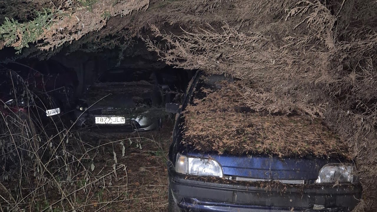 the abandoned 90s classic car graveyard