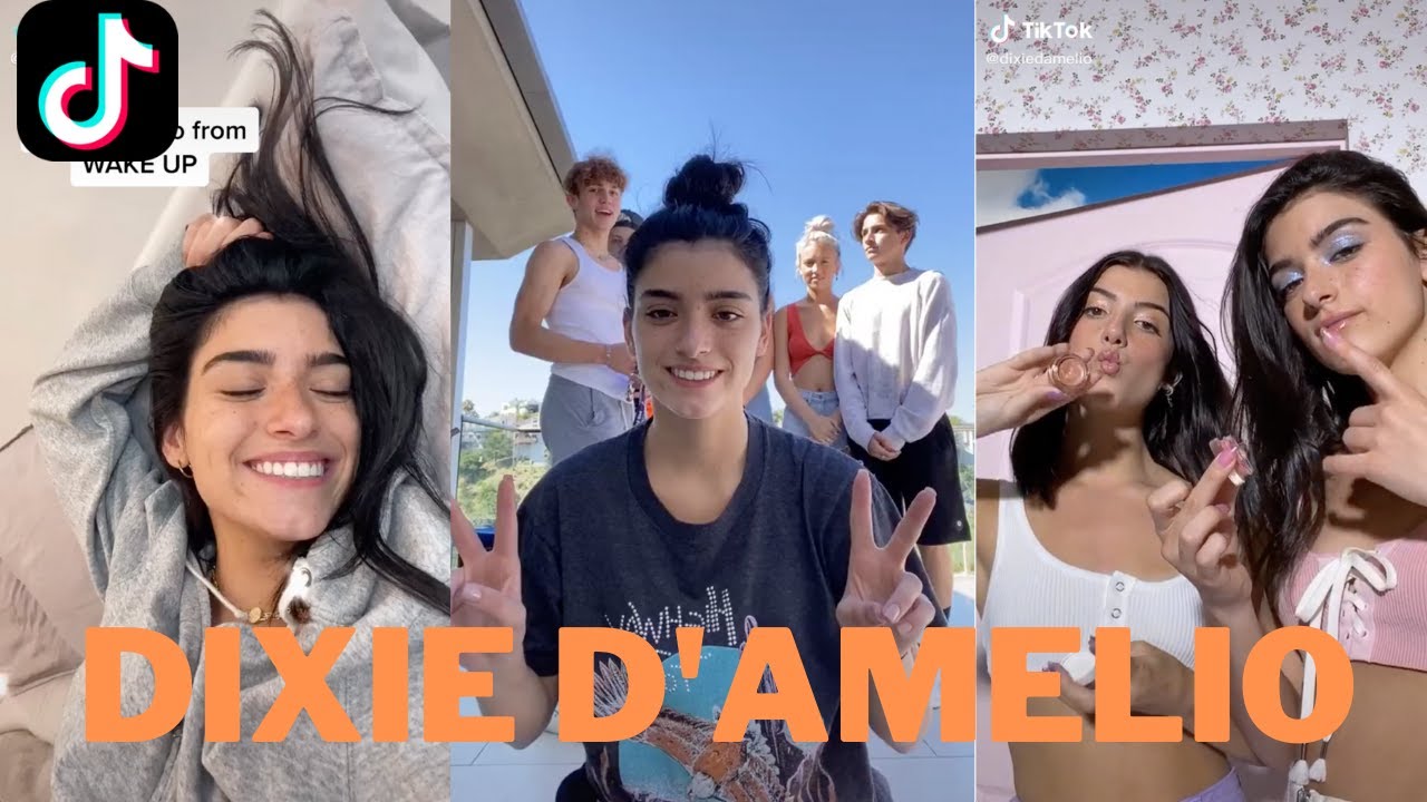 Dixie D'Amelio TikTok Compilation (July 2020)