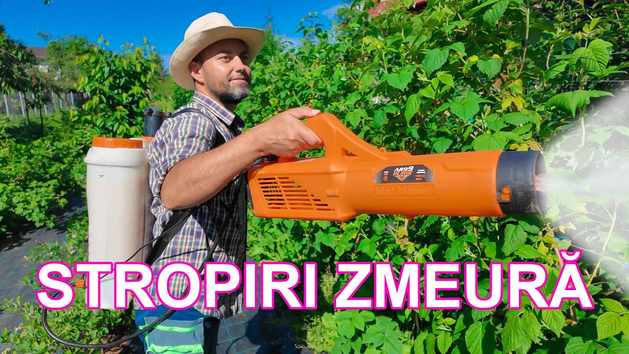 STROPIRI LA ZMEURĂ ȘI MURI - TARTAMENT PUTREGAIUL CENUȘIU. ATOMIZOR ELECTRIC RURIS AR99