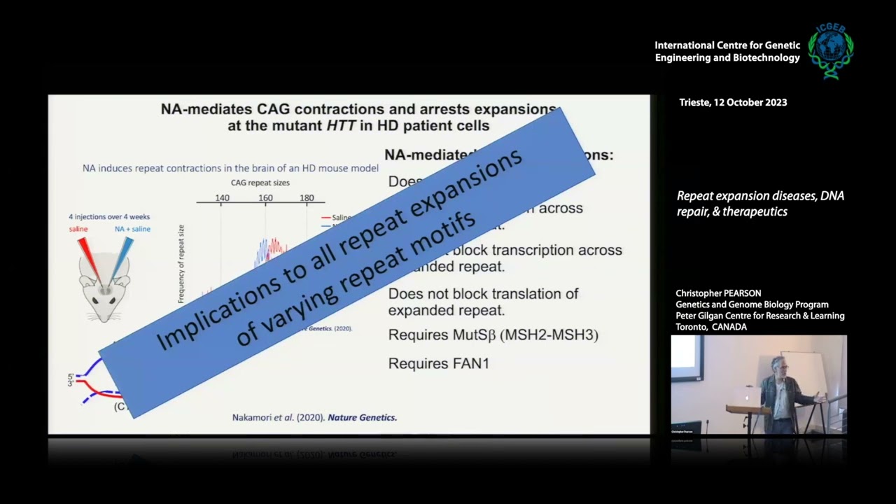 C. Pearson  -  Repeat expansion diseases, DNA repair, & therapeutics