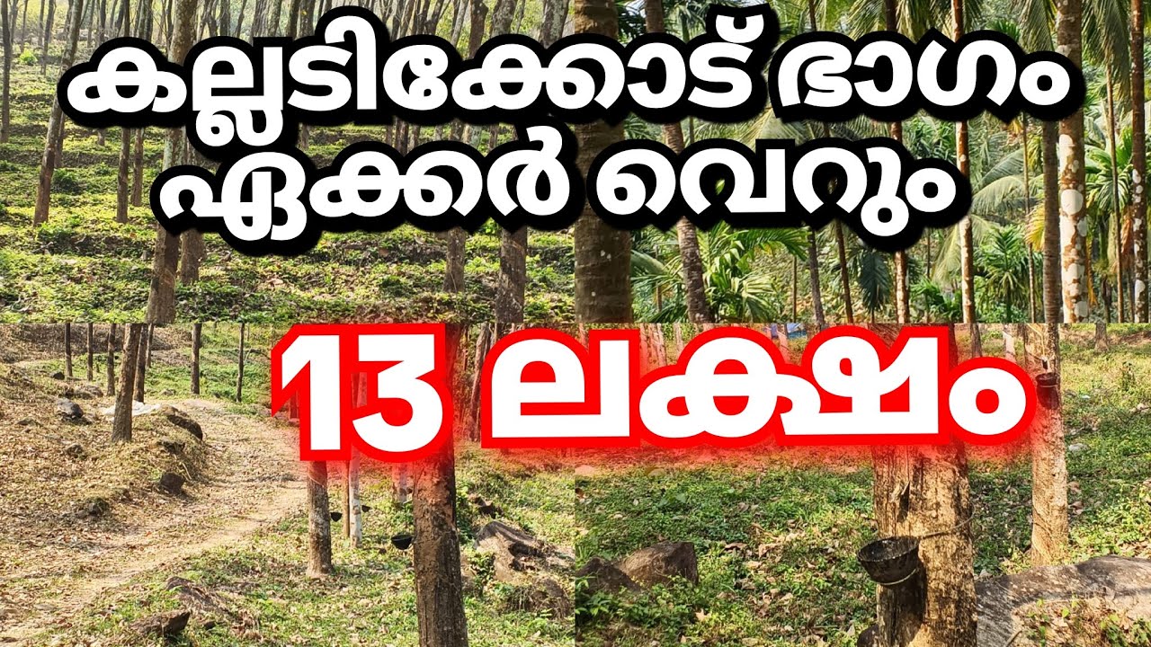 ഏക്കർ വെറും 13 ലക്ഷം😱 റബ്ബർ, കവുങ്ങ്, തെങ്ങ് ഉൾപ്പടെ തോട്ടം കല്ലടിക്കോട് 👌🏼#lowbudget 