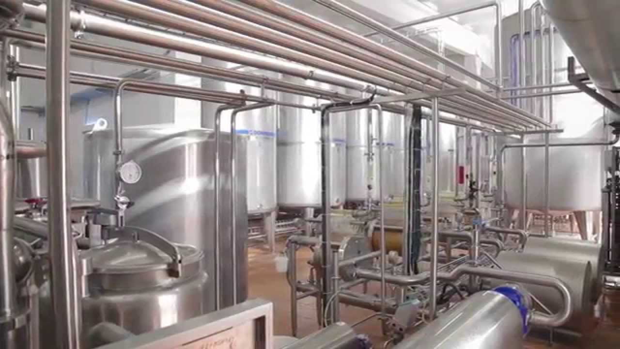 Automated line for production of cream cheese