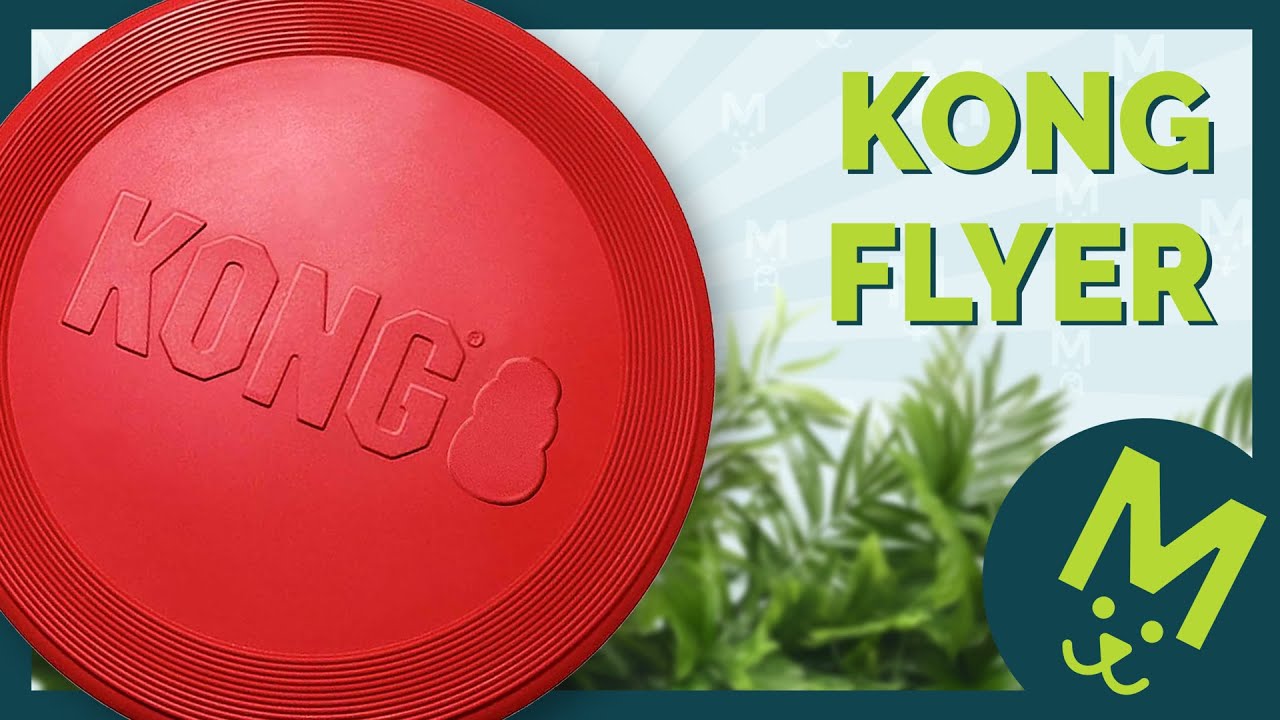 KONG FLYER : Le Frisbee Parfait pour des S&eacute;ances de Jeu Interactives avec Votre Chien !