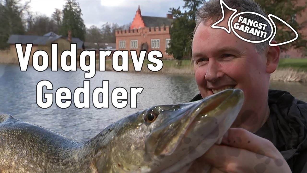 GEDDER VED BROHOLM SLOT // FANGSTGARANTI