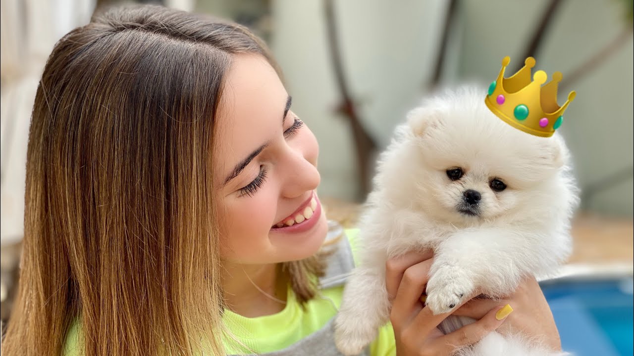 GANHEI UM CACHORRINHO DE PRESENTE!!! O MELHOR ENIGMA DA MINHA VIDA❤️