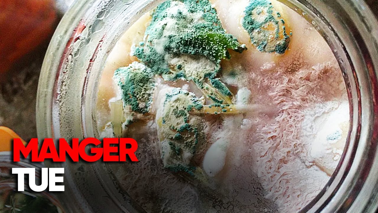 MANGER TUE ? Enquête choc sur les DANGERS cachés dans nos assiettes - Documentaire AMP