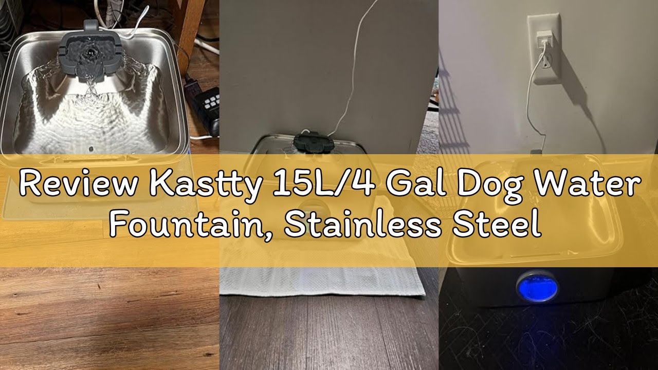 Review Kastty 15L/4 Gal Dog Water Fountain, Stainless Steel Large Pet Water Fountain with Water Leve