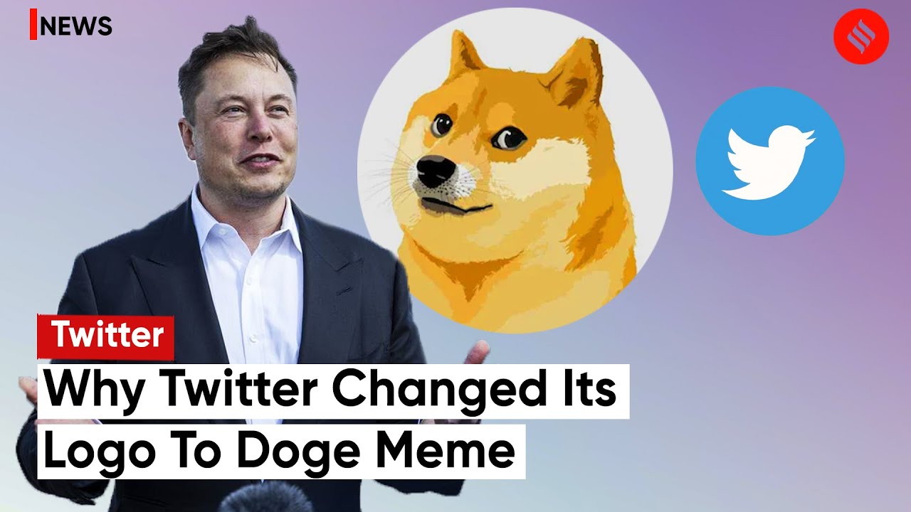 Twitter Changes Its Blue Bird Logo To Doge Meme; Elon Musk Tweets About Change