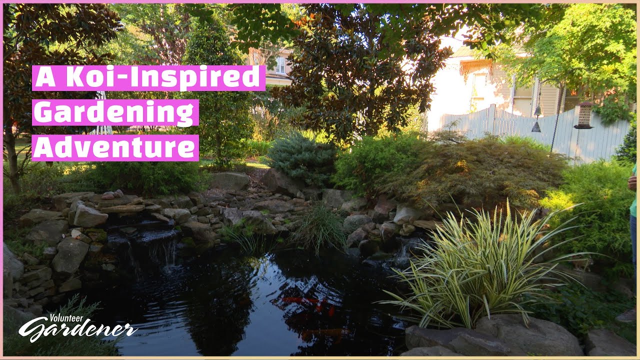 A Backyard Pond and the Landscape Beyond | Volunteer Gardener