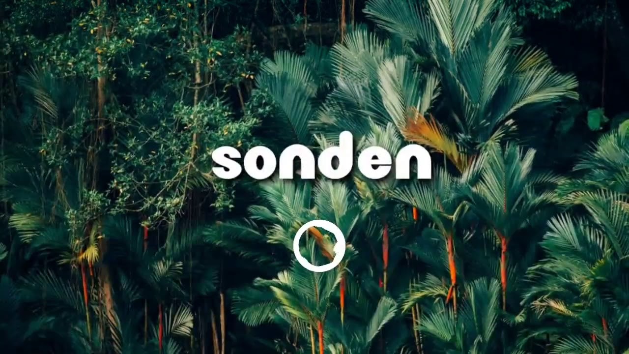 BraveLion - Hopelight [Sonden]