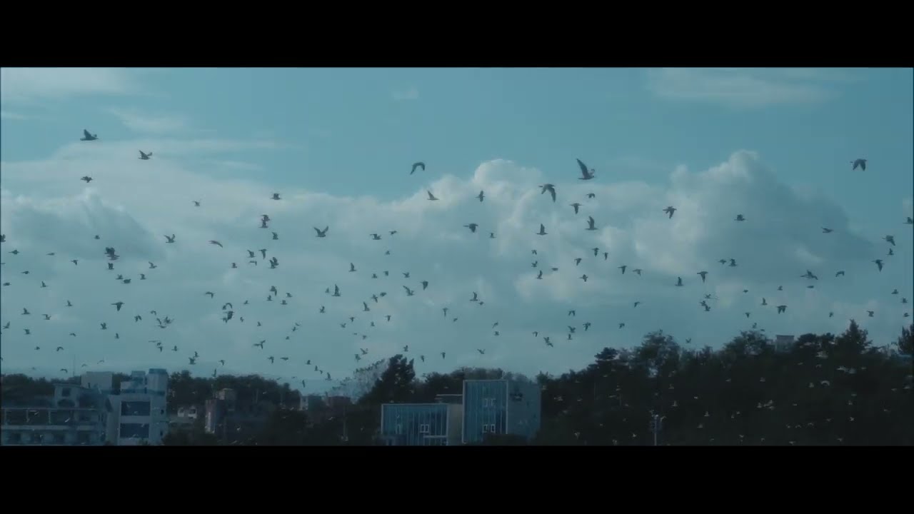 소년:달 - 폭우 (Official Lyric Video)