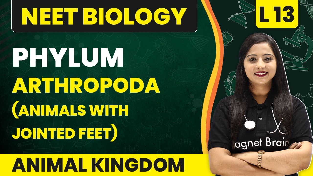 Phylum - Arthropoda (Animals With Jointed Feet) | Animal Kingdom - L13 | NEET Biology