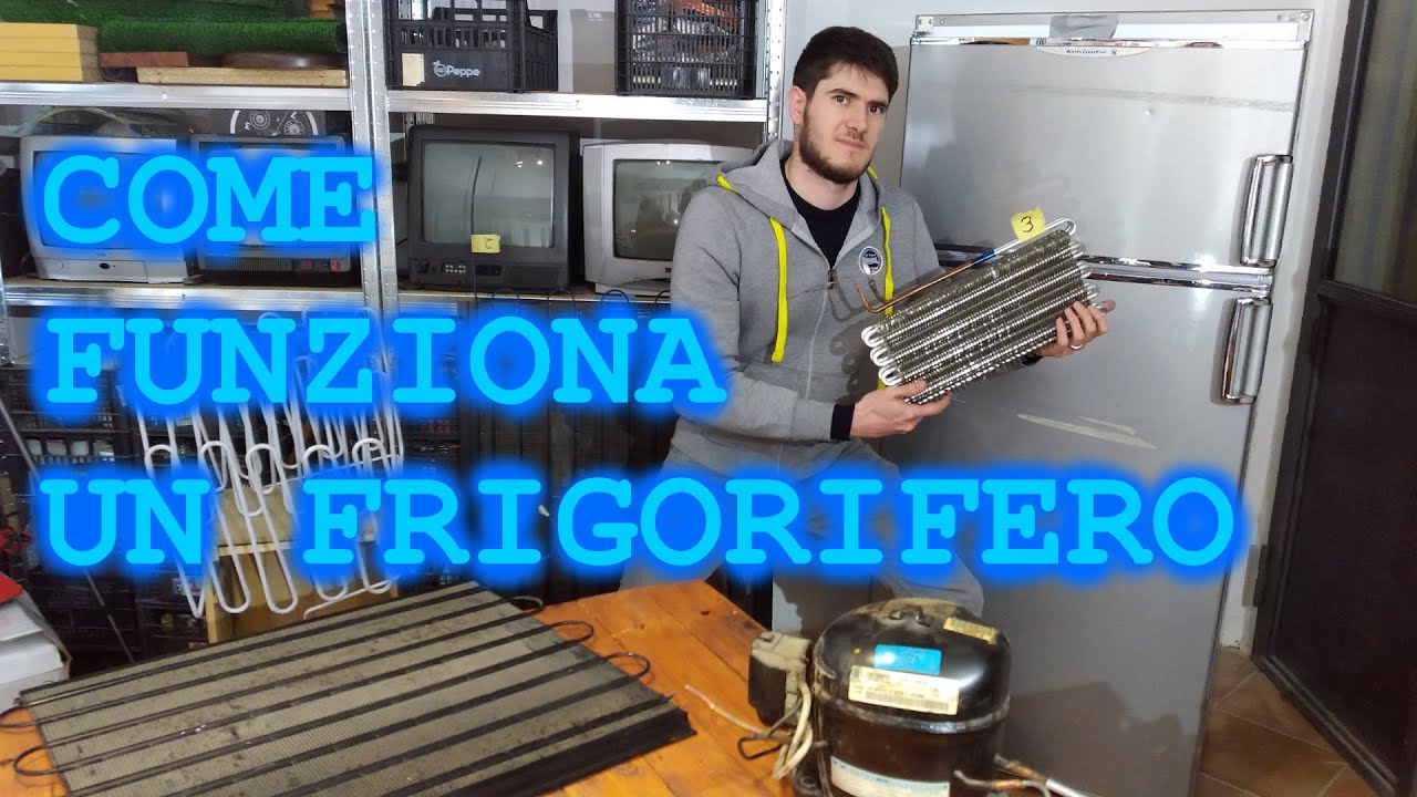 smonto un FRIGORIFERO per spiegarvi COME FUNZIONA