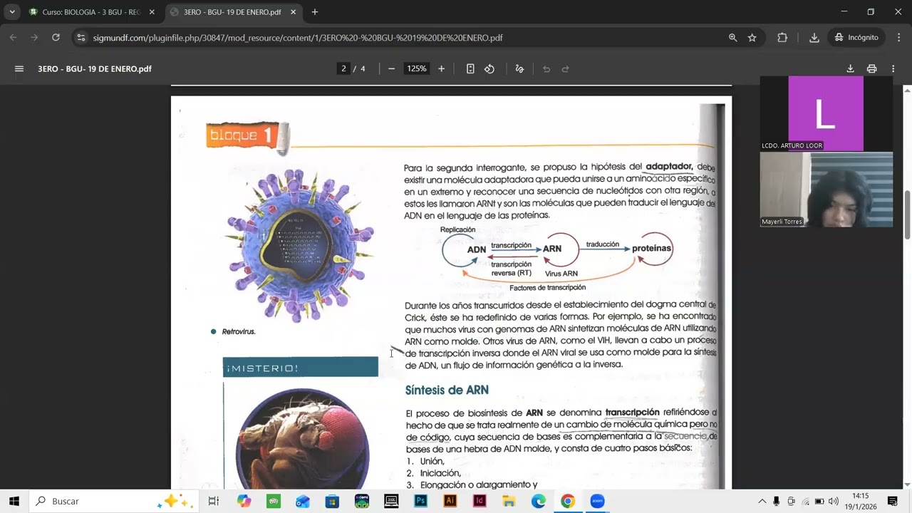 3RO BGU - BIOLOGIA 19 DE ENERO
