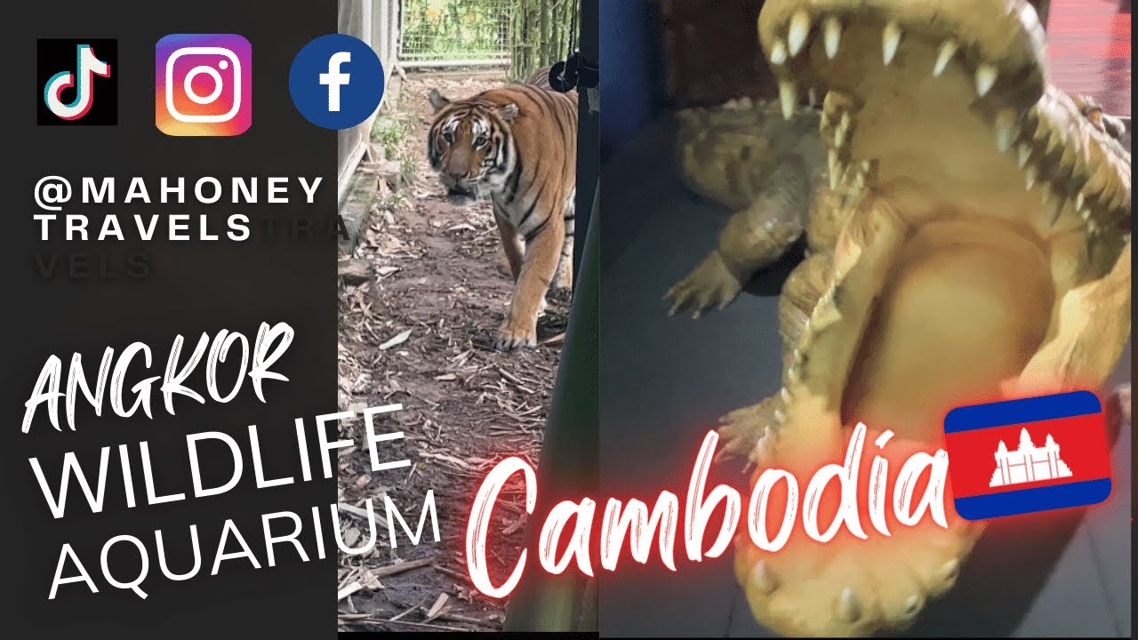 Discover the mesmerizing world of Angkor Wildlife Aquarium
