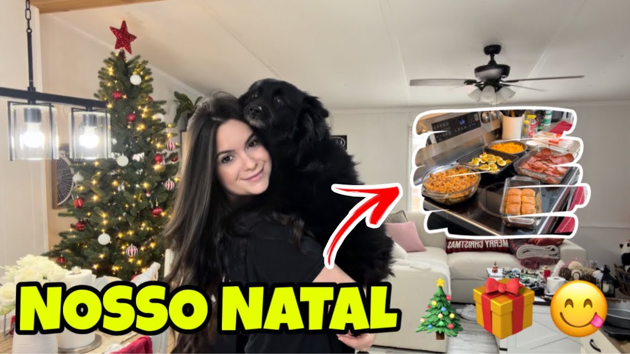 Daily vlog: nosso Natal nos eua bem americano 🇺🇸 cozinhando e cuidando da casa