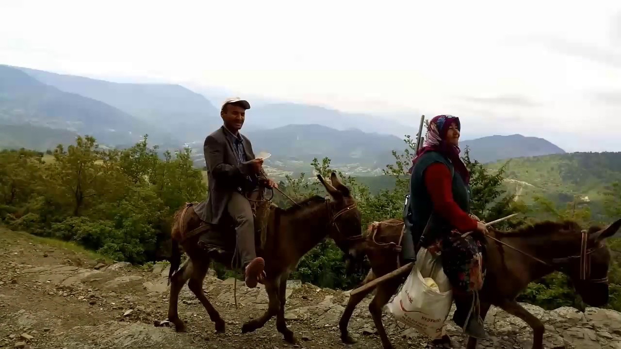 Şaban çolak Sinop durağan hacımahmutluköyü yayla turizmi