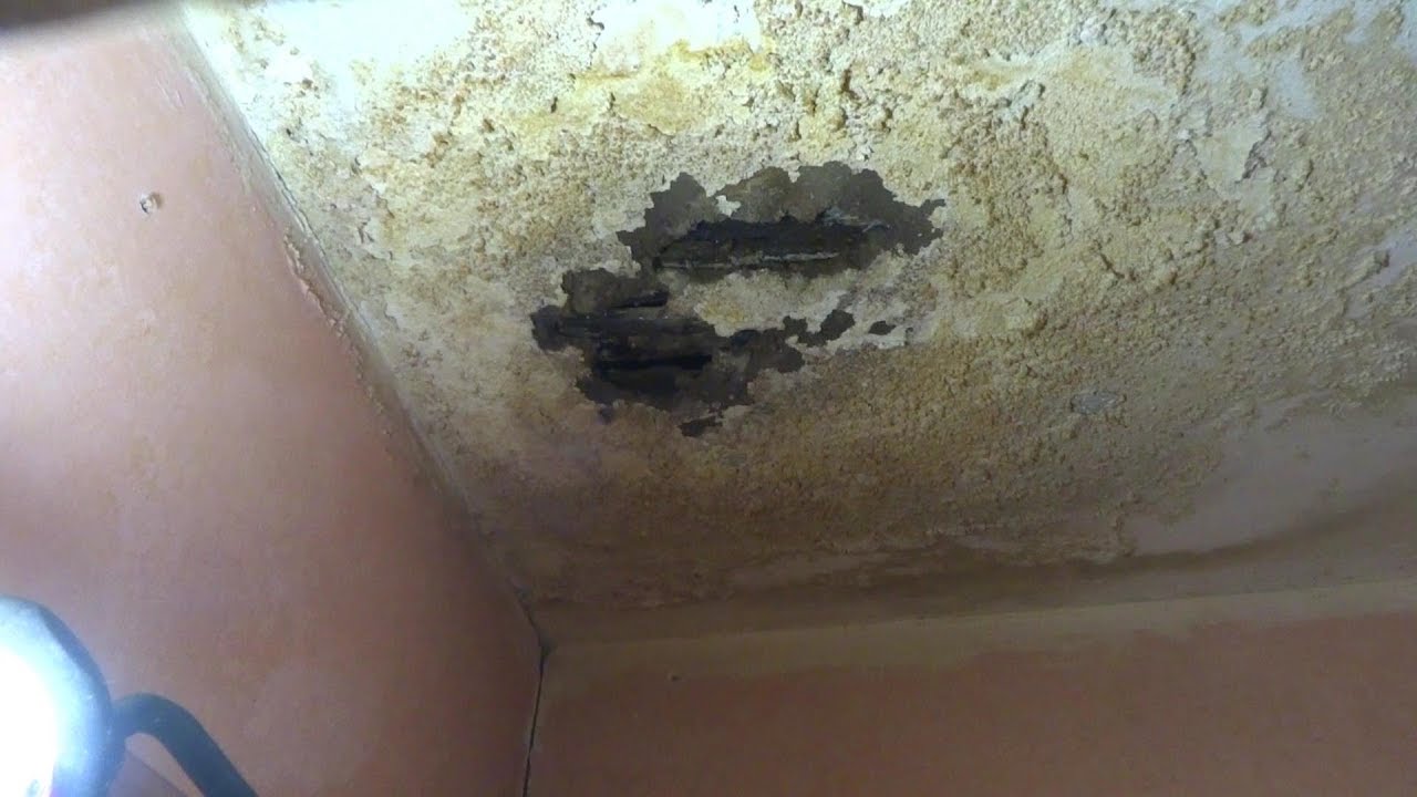 toilet leak from hell part 2 of 2