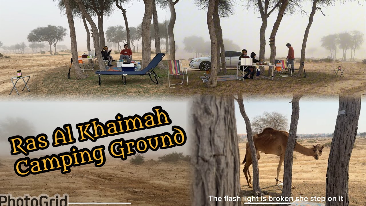 Camping spot in UAE: A Survival Experience #uaecamping #trending #viral