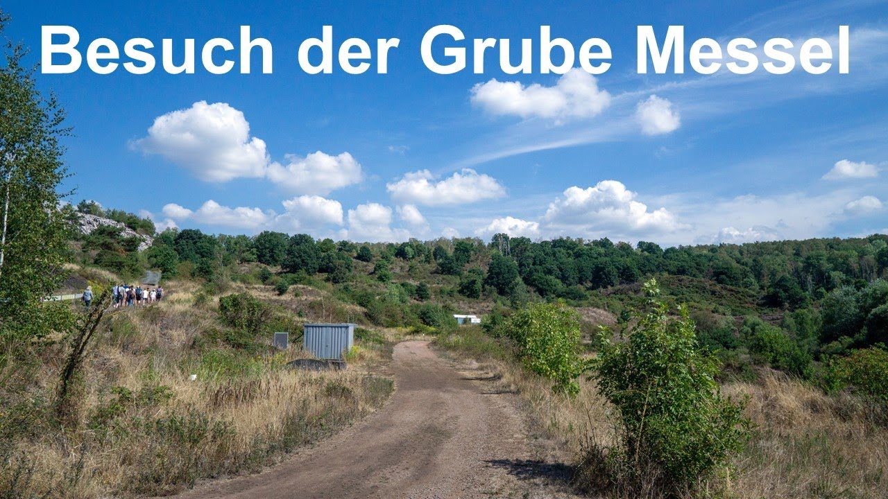 Besuch der Grube Messel