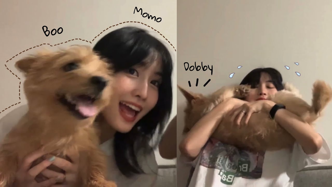 210629 Vlive Momo Boo Dobby cut🍑🐶🐶