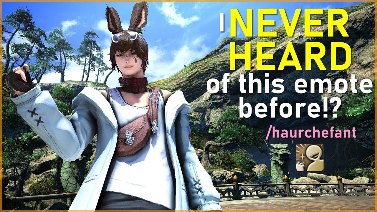 28 Emotes You Might've Missed in FFXIV!