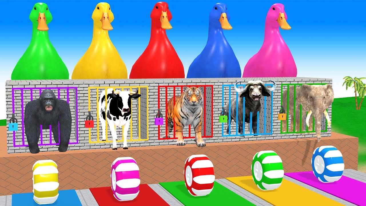 Long Slide Game With Cow Elephant Gorilla Hippopotamus Tiger 3d Animal Game Funny 3d Animals
