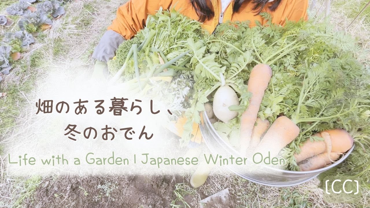 家庭菜園1年目の収穫野菜で作る冬のおでんと天ぷら｜ある日のランチ記録