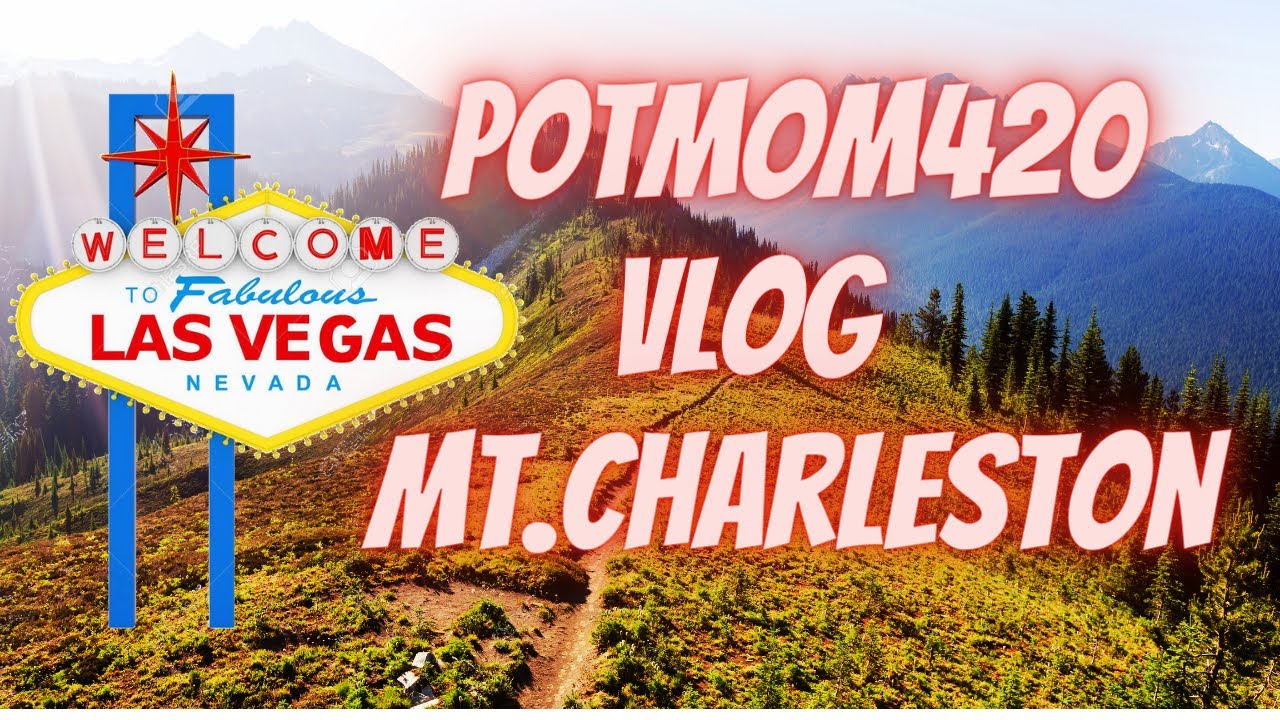 PotMom Mt. Charleston VLOG