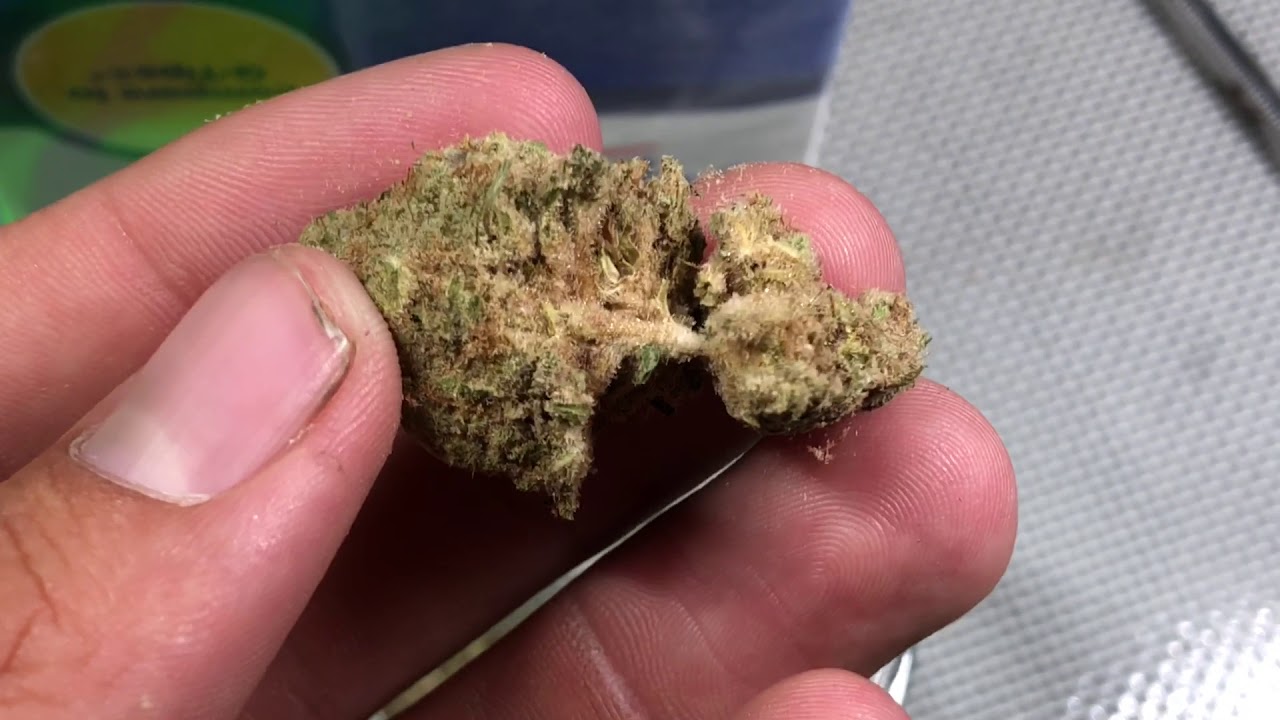 8 Hole Revolver Bowl!