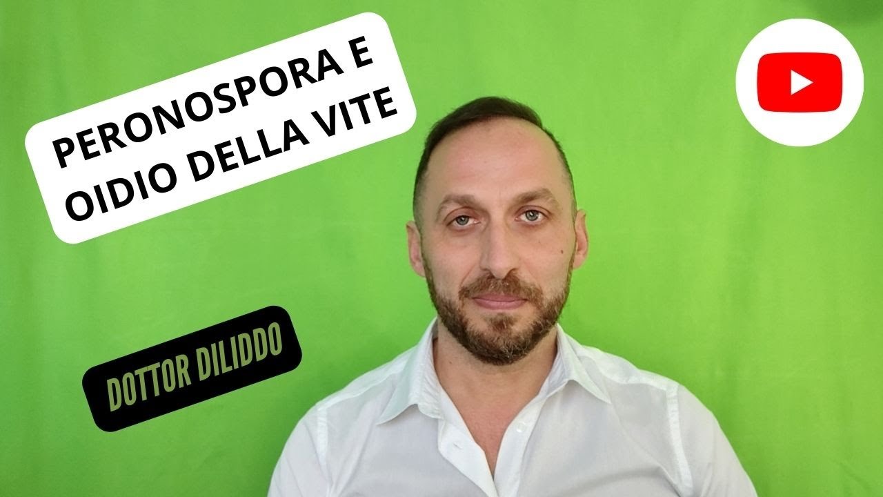 Peronospora e oidio della vite