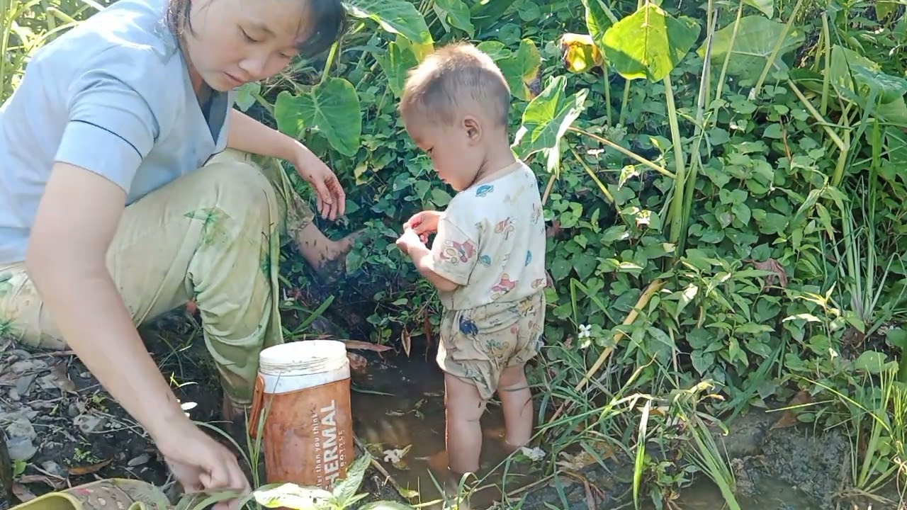Mẹ Con Đi Bắt Ốc Không Ngờ Gặp Luôn Tổ Ốc 🐌