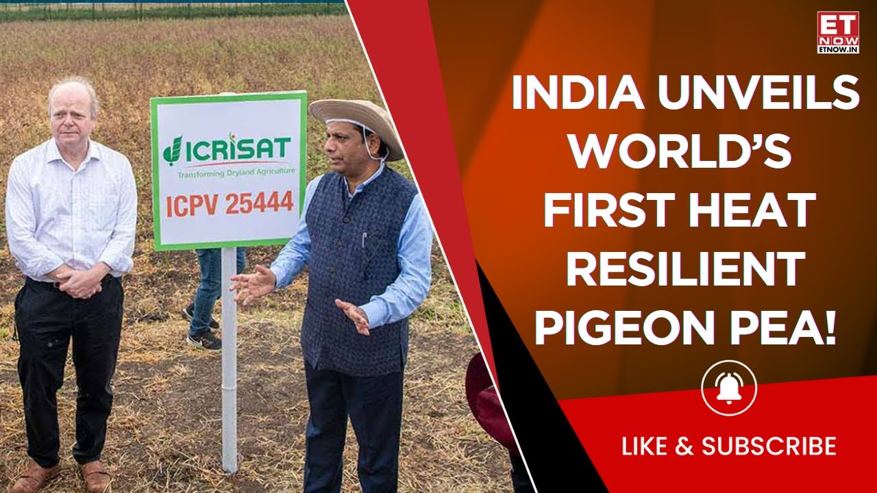 World's First Heat-Resilient Pigeon Pea! India's Solution To Pulses Scarcity | Commodity Central