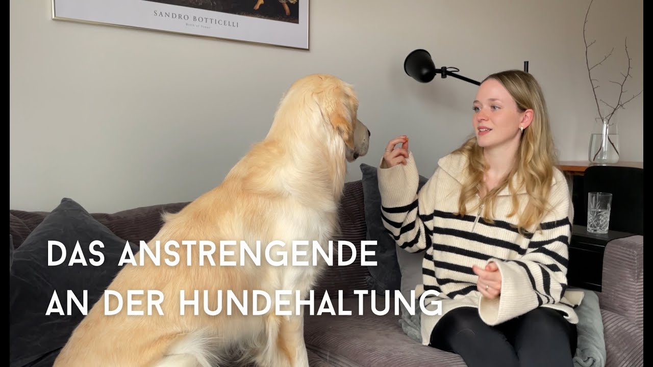 Was an der Hundehaltung wirklich anstrengend ist - als Hundeanf&auml;ngerin