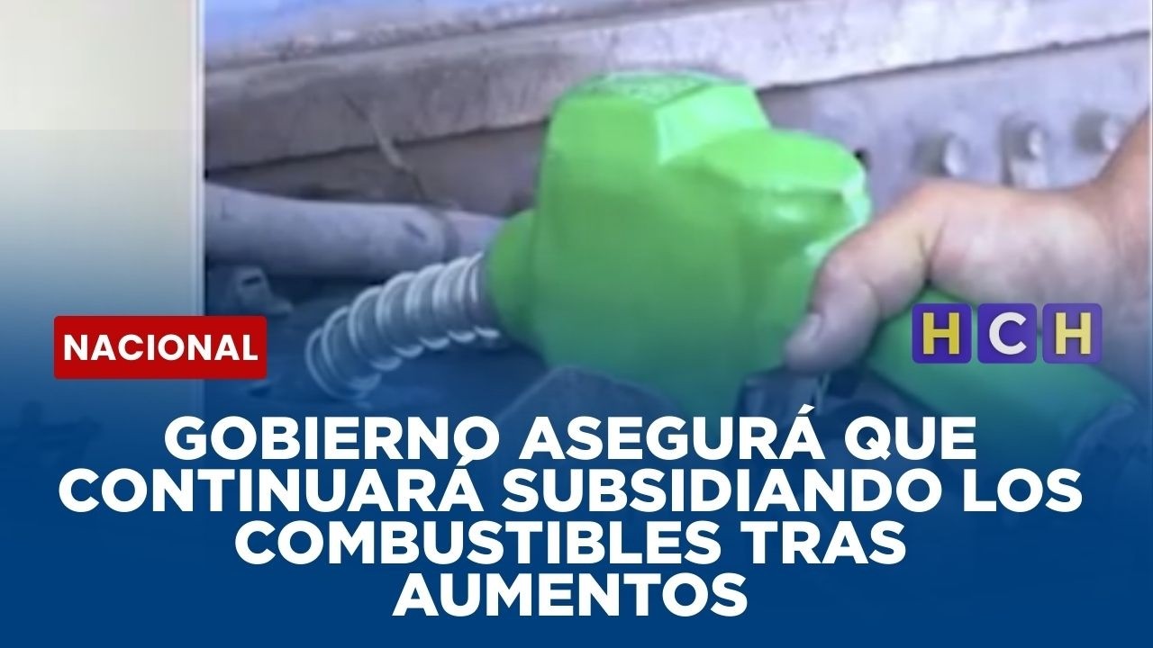 GOBIERNO ASEGURÁ QUE CONTINUARÁ SUBSIDIANDO LOS COMBUSTIBLES TRAS AUMENTOS