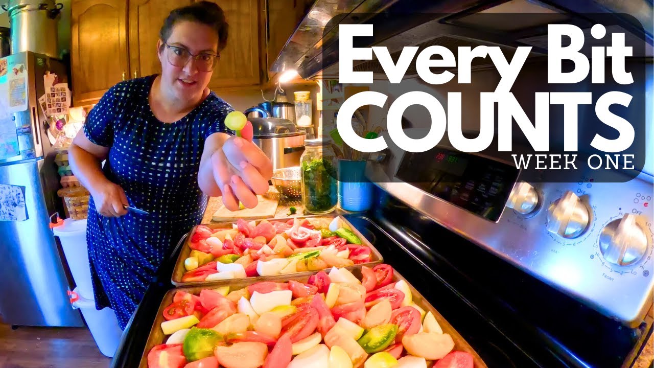 What We Preserved From The Homestead This Week!  | Every Bit Counts Challenge, Week One