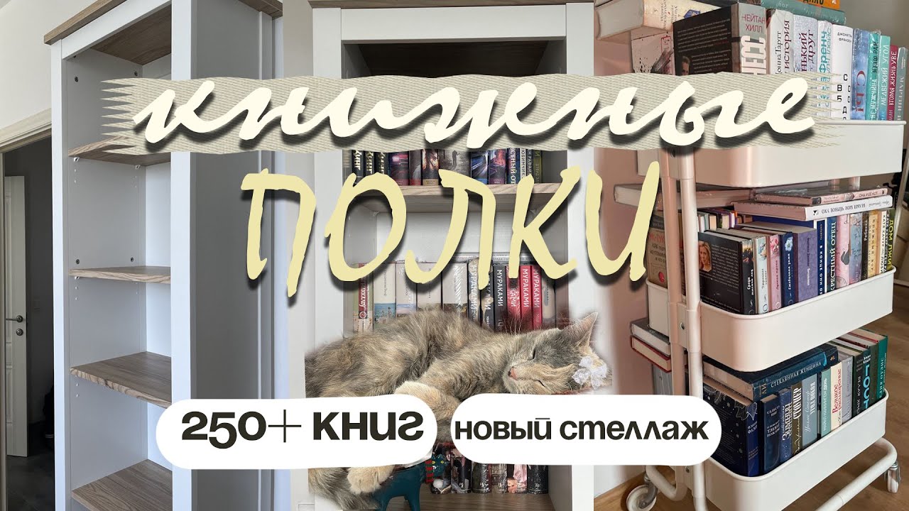 КНИЖНЫЕ ПОЛКИ 🤎 250+ книг | НОВЫЙ СТЕЛЛАЖ ✨