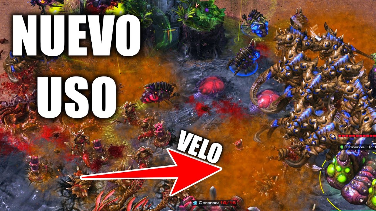 LO NUNCA ANTES VISTO! NUEVO USO DEL VELO MICROBIANO - REYNOR vs SHIN - LW RSL T3 Starcraft 2