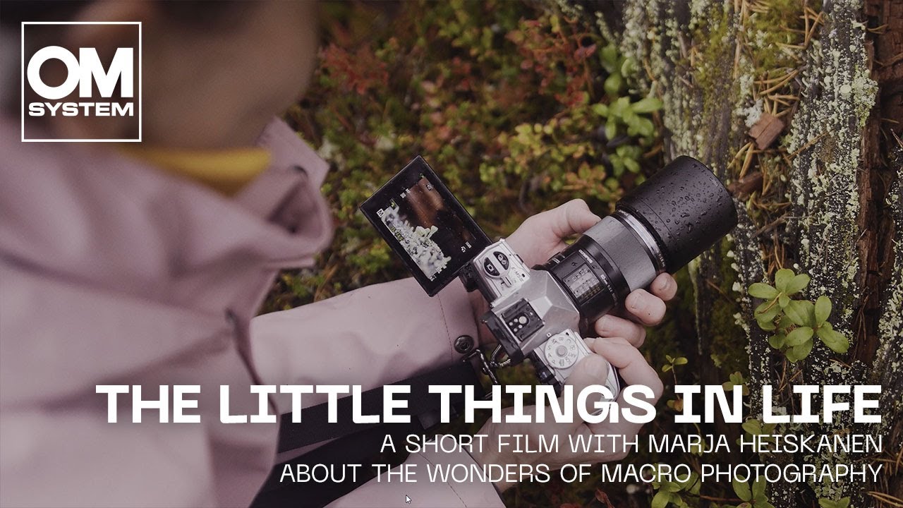 The Little Things in Life: Marja Heiskanen