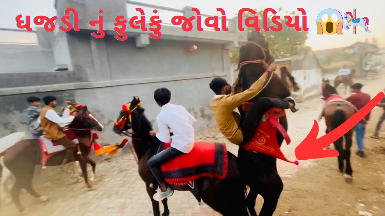 ધજડી ગામ નું ફૂલેકુ જોવો વિડિયો ?😱🎠 kathiyawadi horse