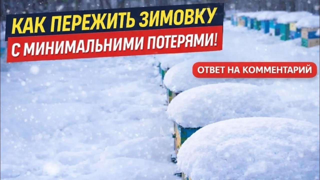 Как пережить зимовку с минимальными потерями. 