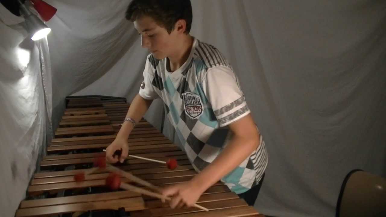 Duck Sauce - Barbra Streisand - Cover LDW - Marimba