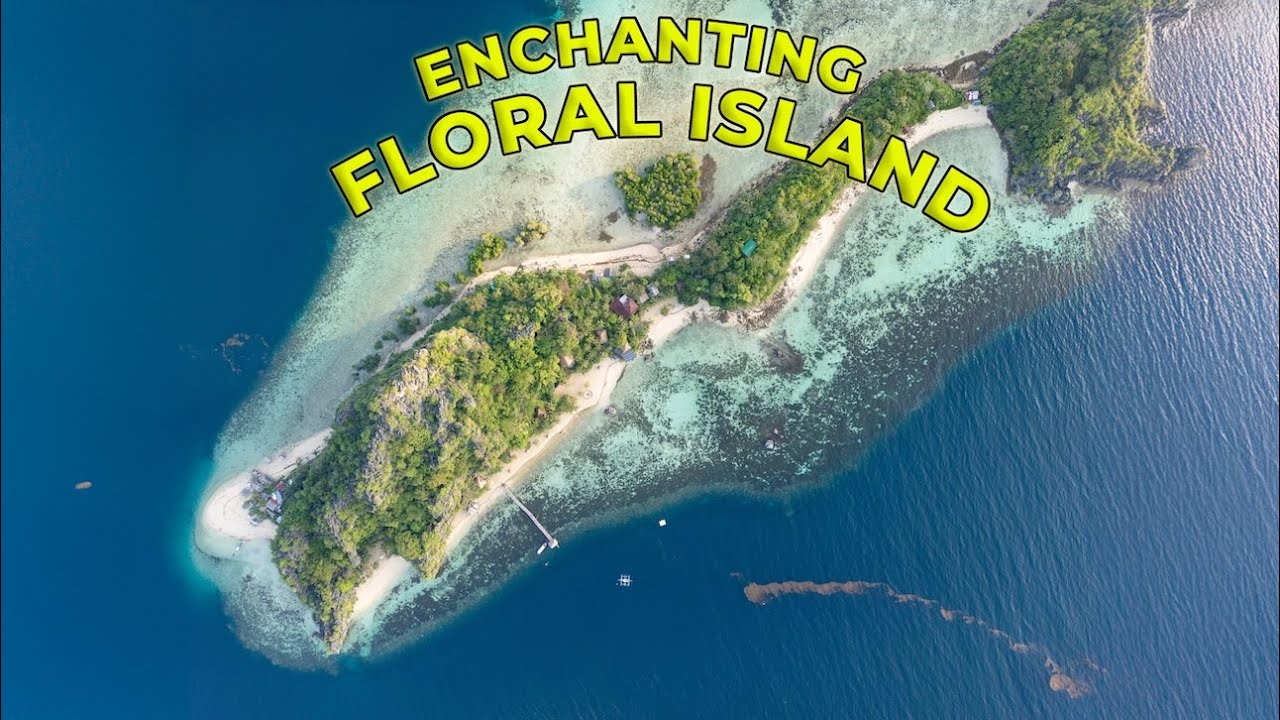 Floral Island Resort, Talacanen Island, Palawan, PH.